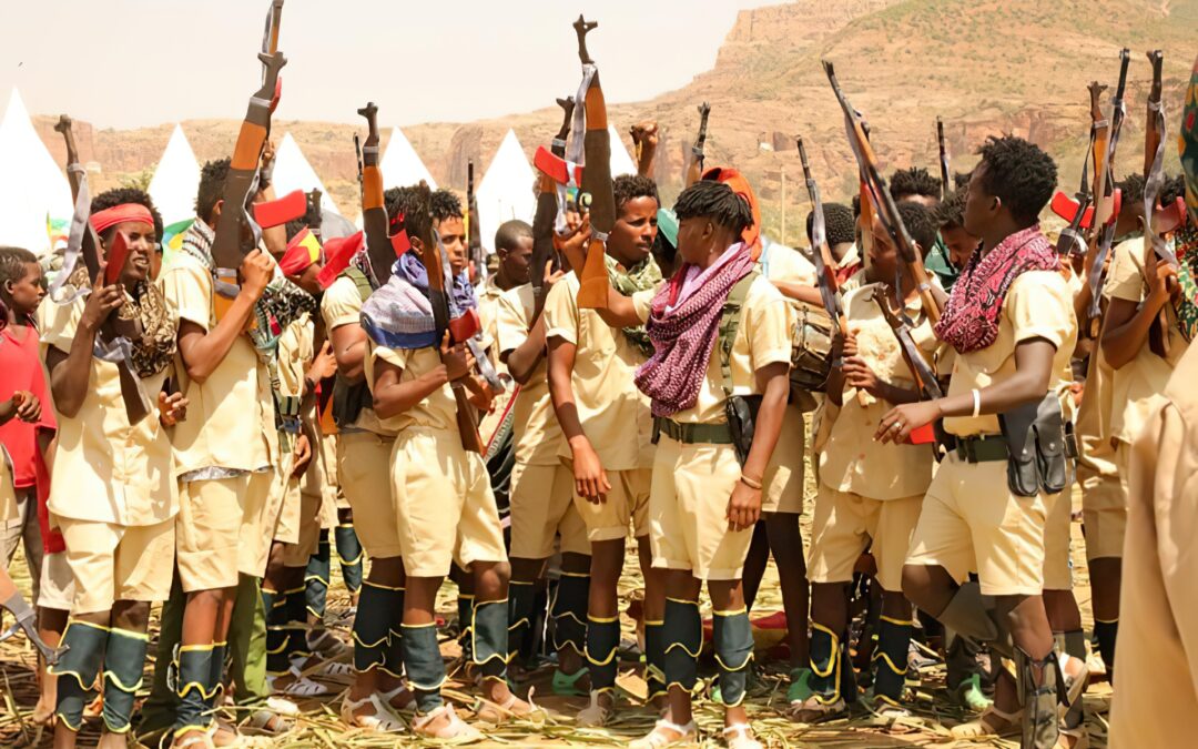 THE TPLF HAS NO AIR FORCE, BUT IT CAN MATCH THE FEDERAL ARMY