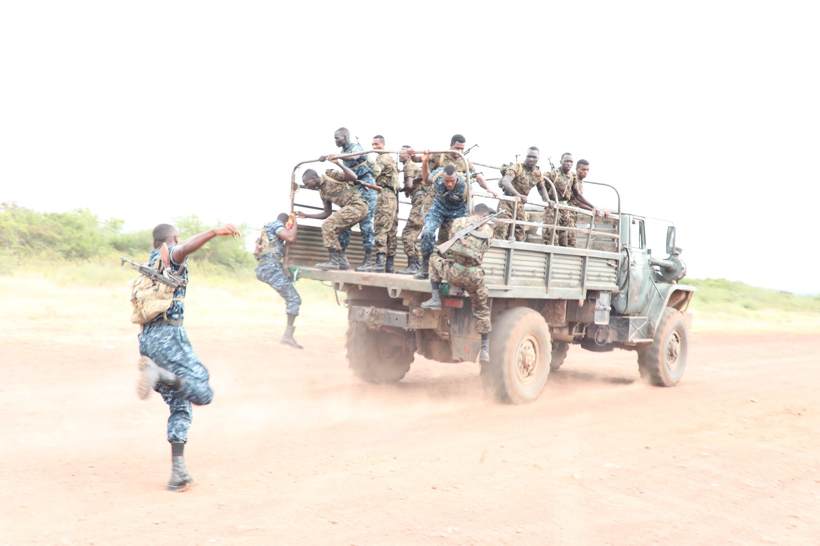 TPLF