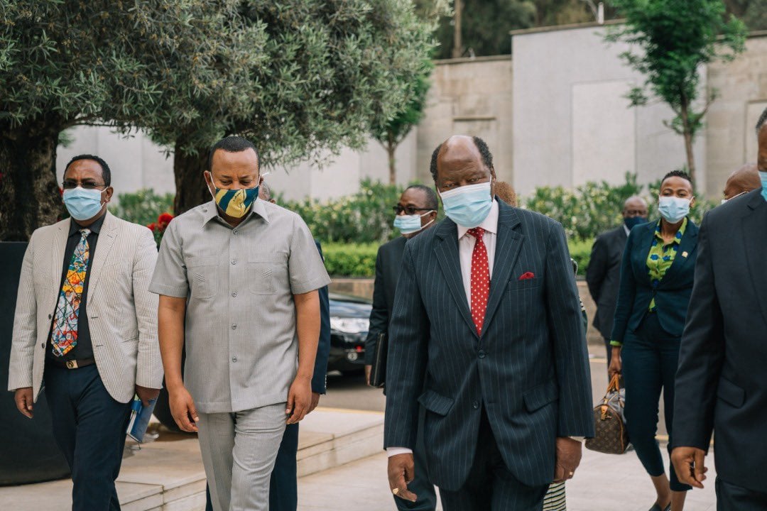 African Union Delegation