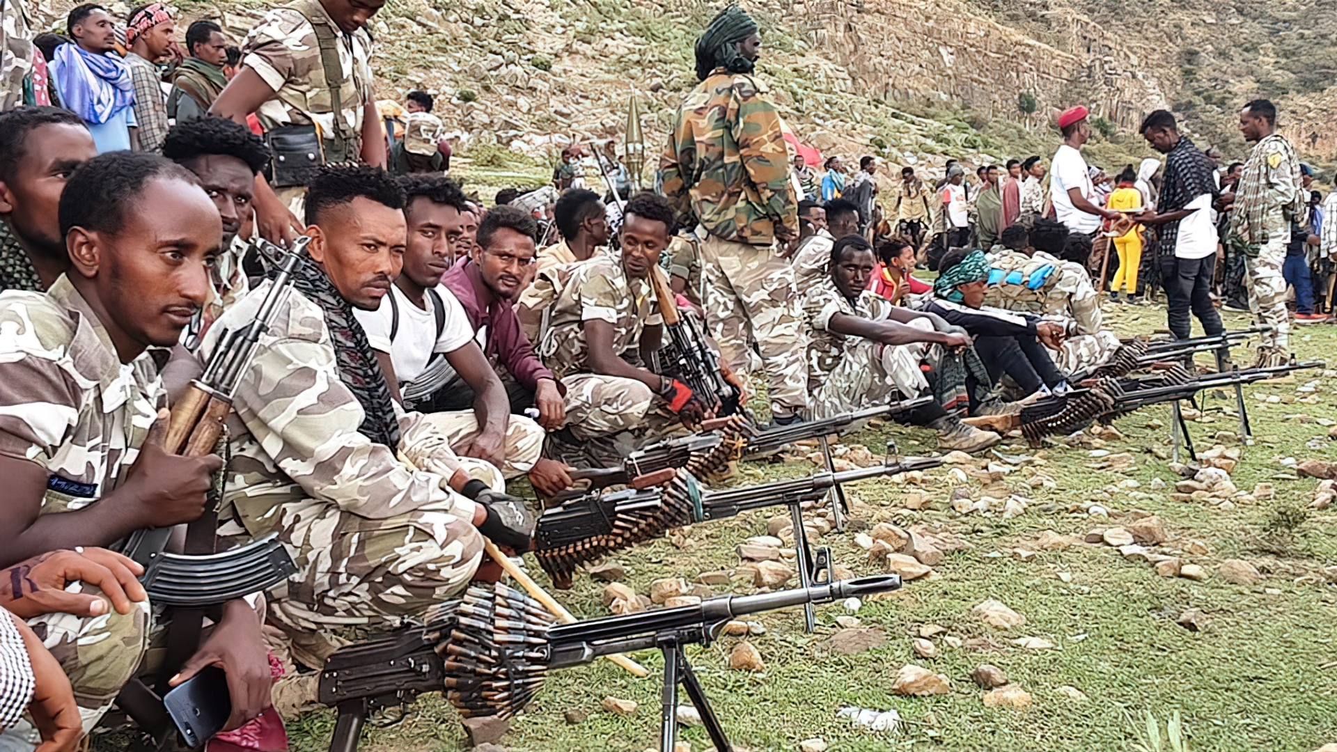 Tigray Defence Forces