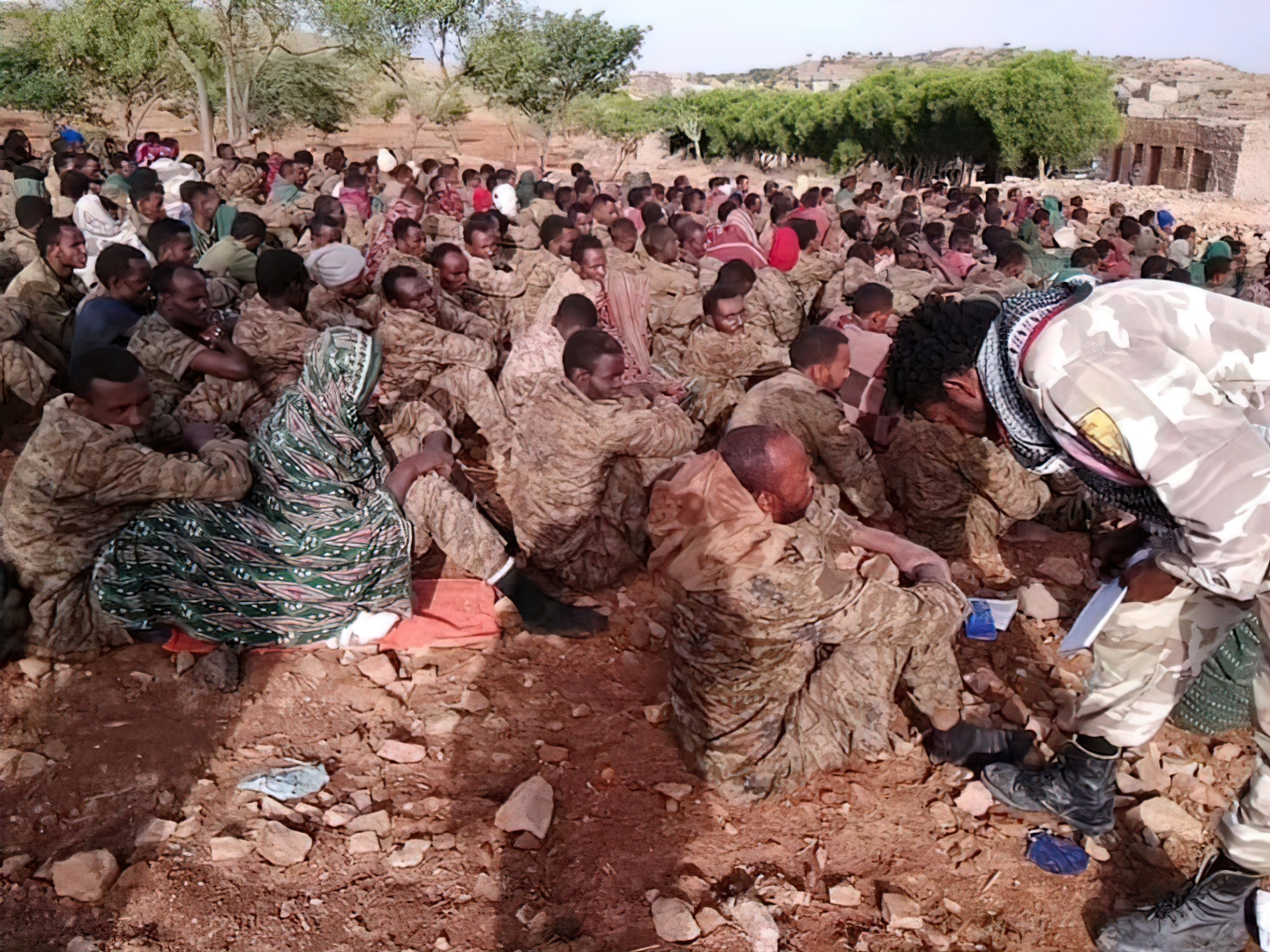 Tigray Defence Forces(TDF)