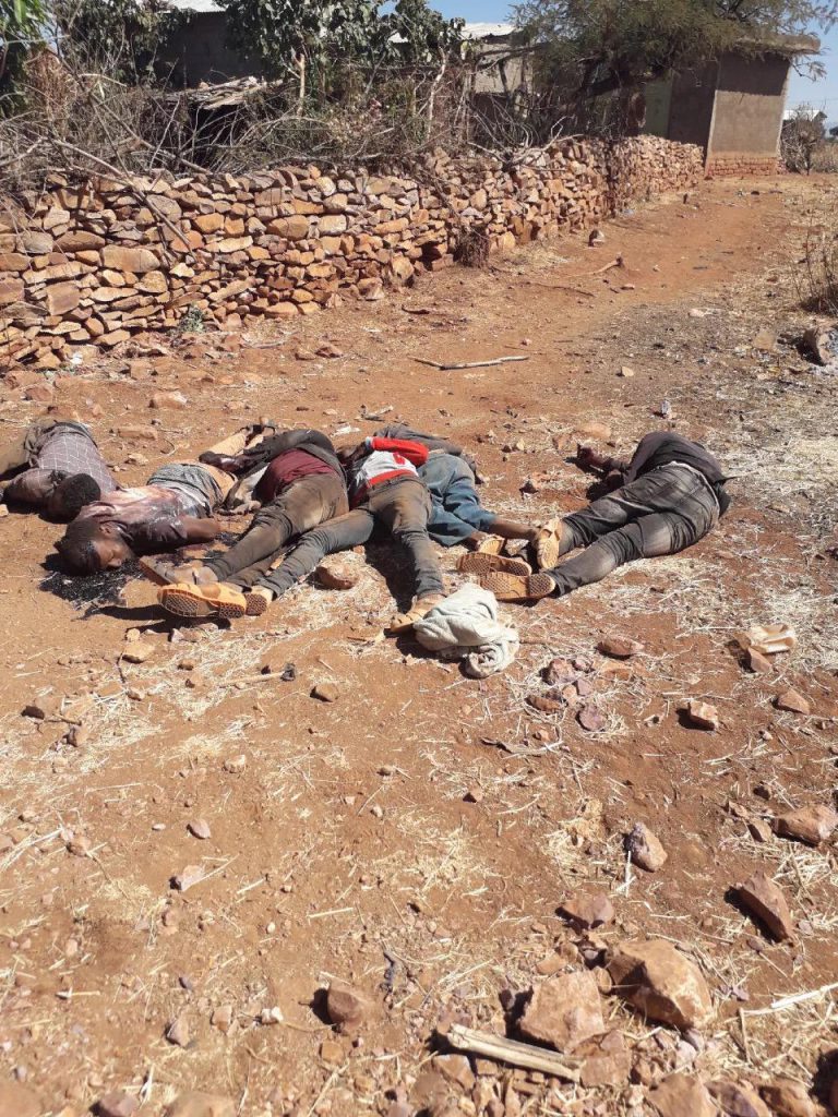 Crimes against humanity