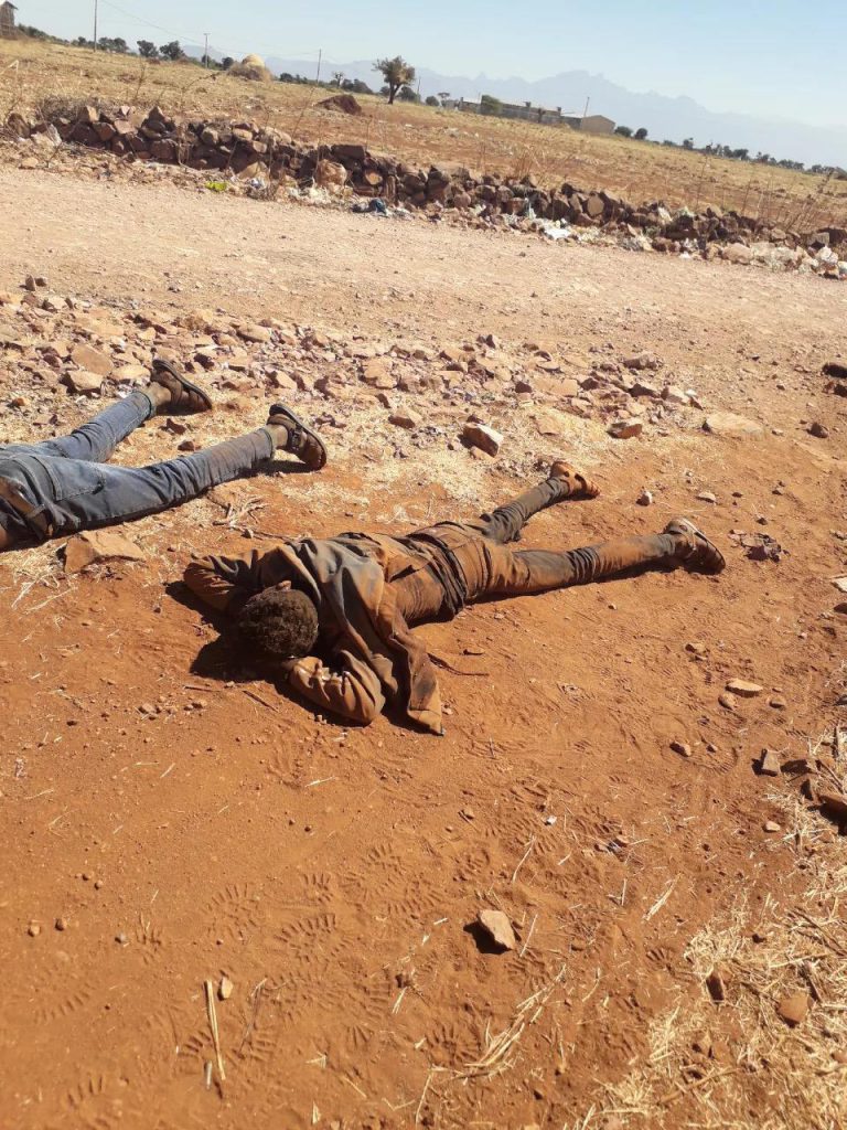 Crimes against humanity