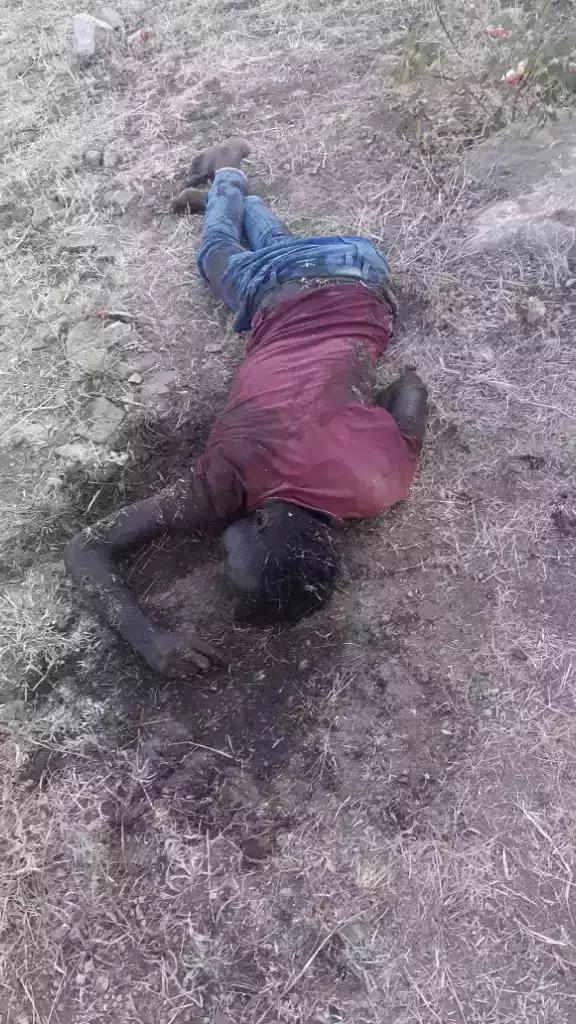 Crimes against humanity