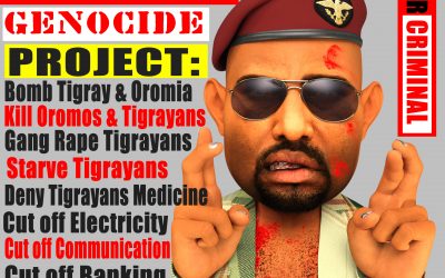 THE ETHIOPIAN REGIME CALLS FOR PEACE TALKS WHILE BOMBING CIVILIANS