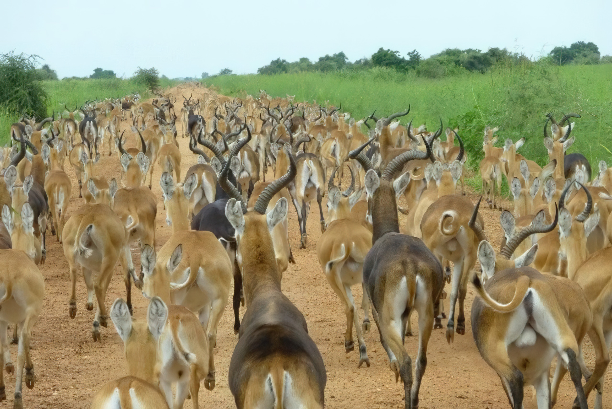 Ethiopia Tourism potential