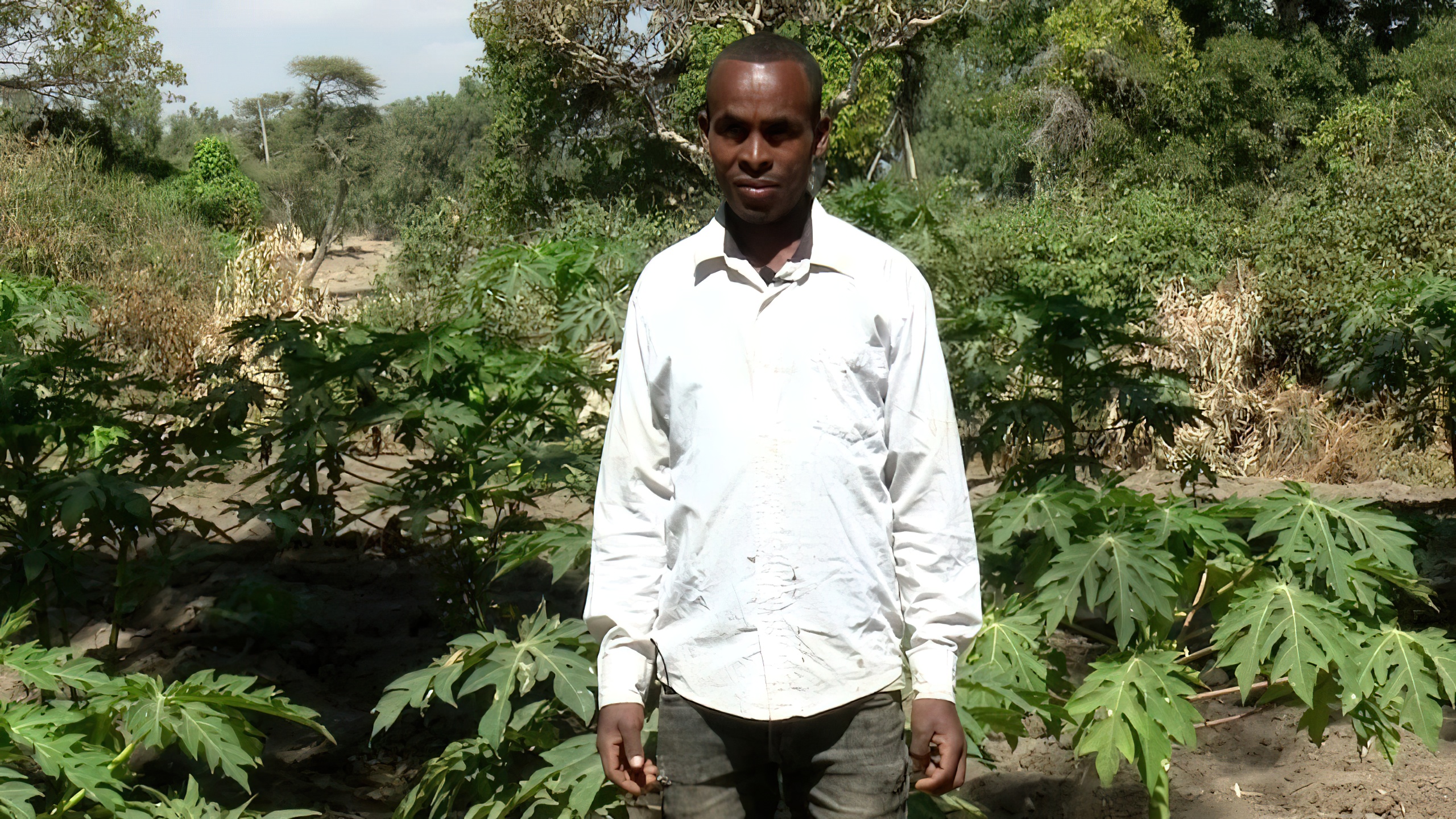 agriculture development projects