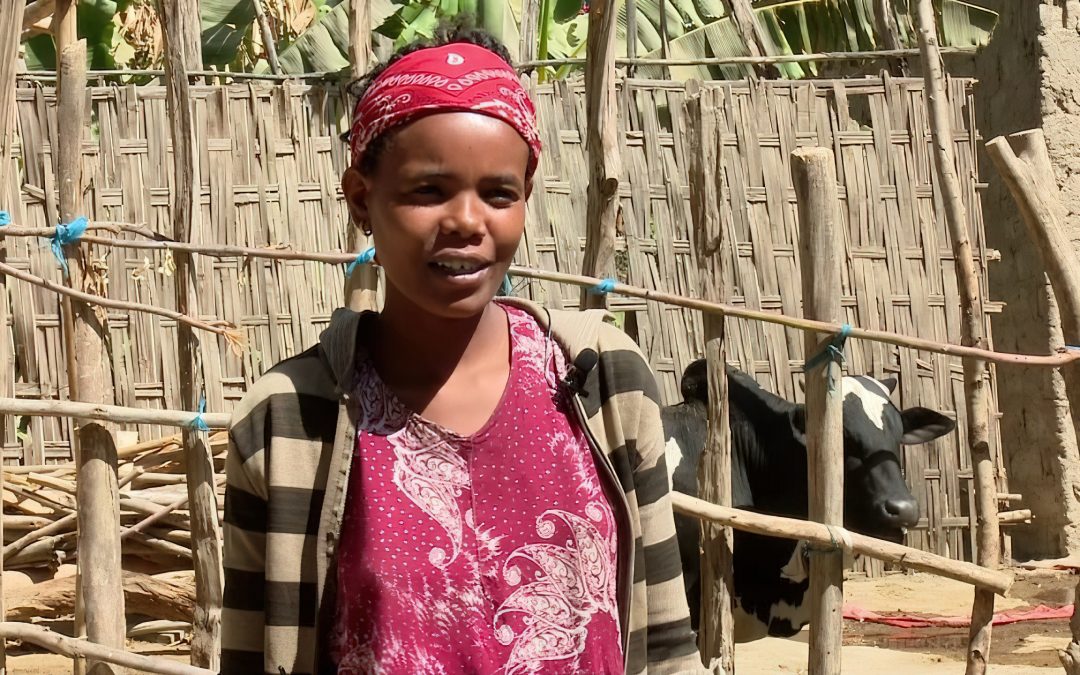 SMALL SCALE AGRICULTURE DEVELOPMENT PROJECTS