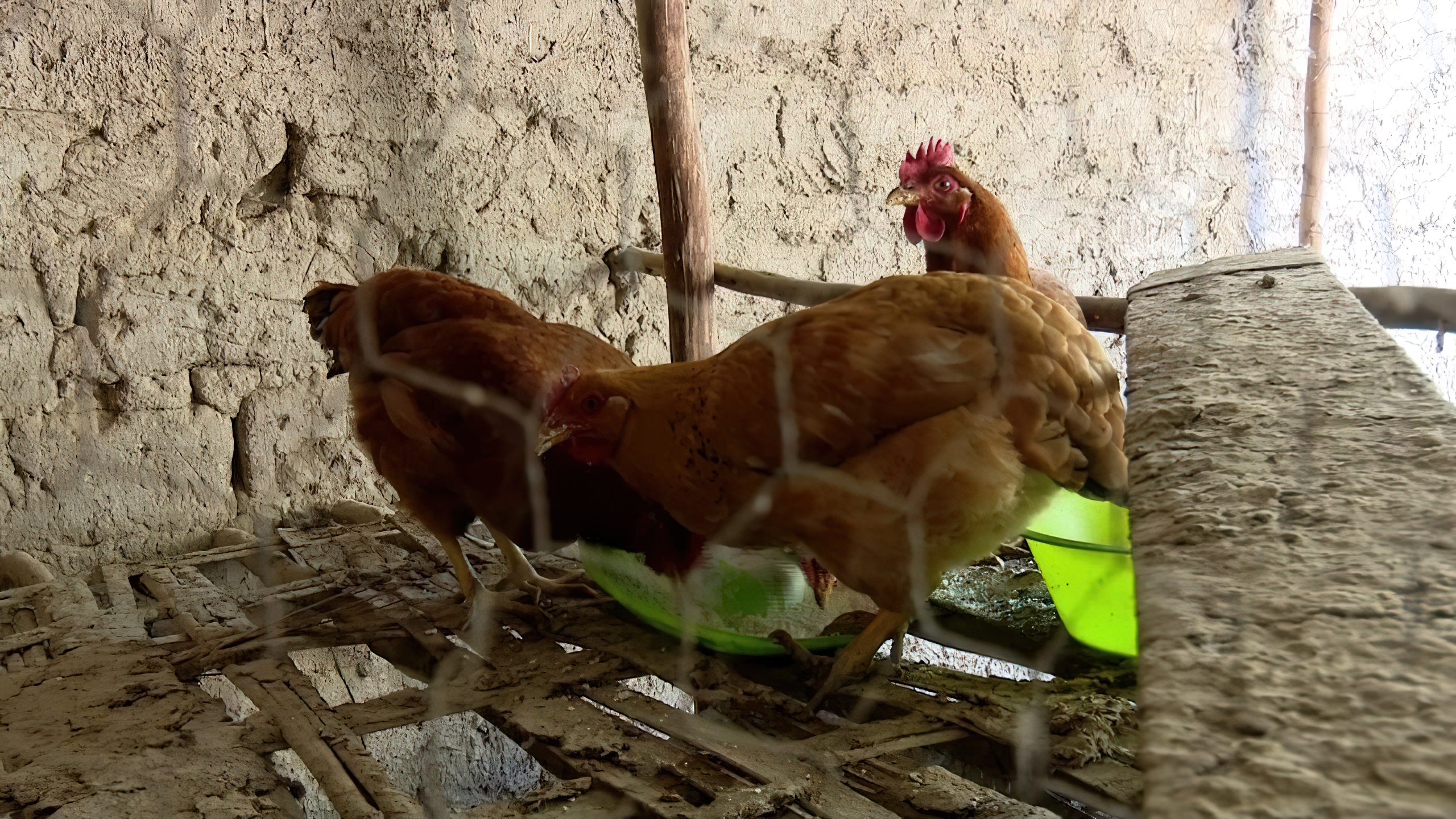 agriculture development projects