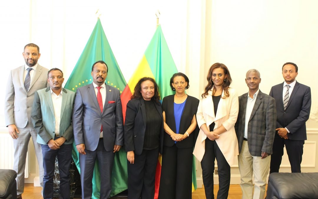 STATE MINISTER OF FINANCE, SEMERETA SEWASEW