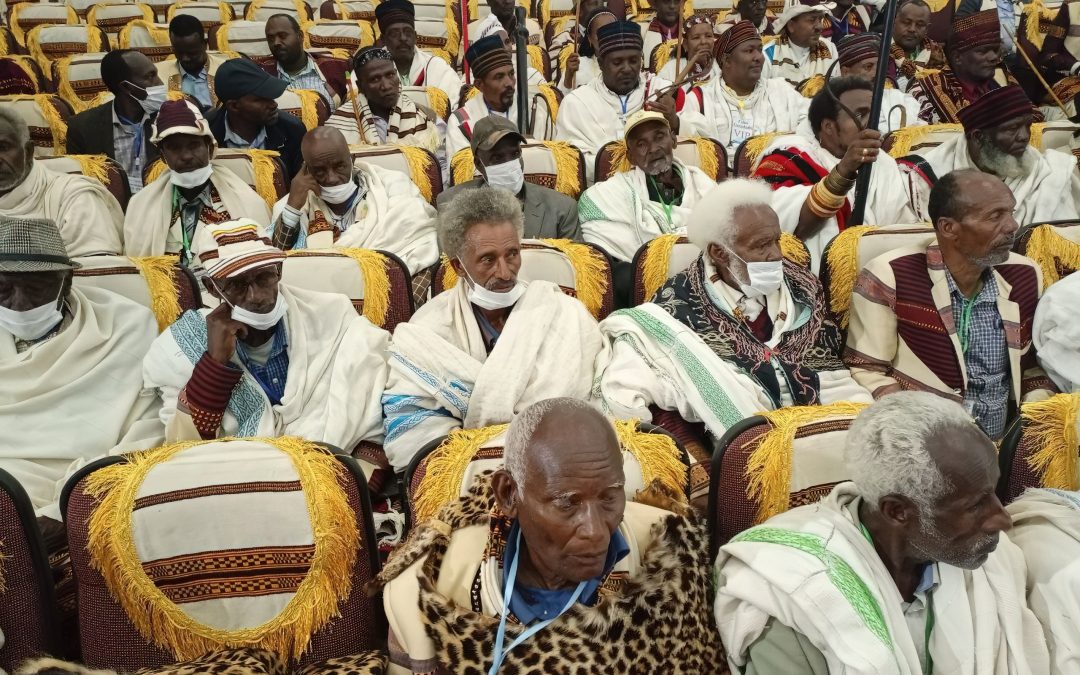 FICHCHEE COLDLY CELEBRATED IN REOCCUPIED SIDAMA LAND