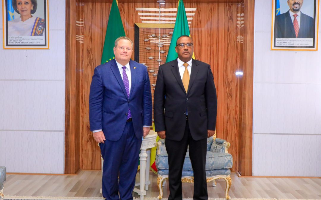 US SPECIAL ENVOY TO THE HORN OF AFRICA, MICHAEL HAMMER