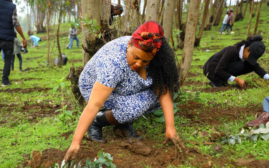 THE MINISTRY OF WATER AND ENERGY GREEN LEGACY PROGRAM
