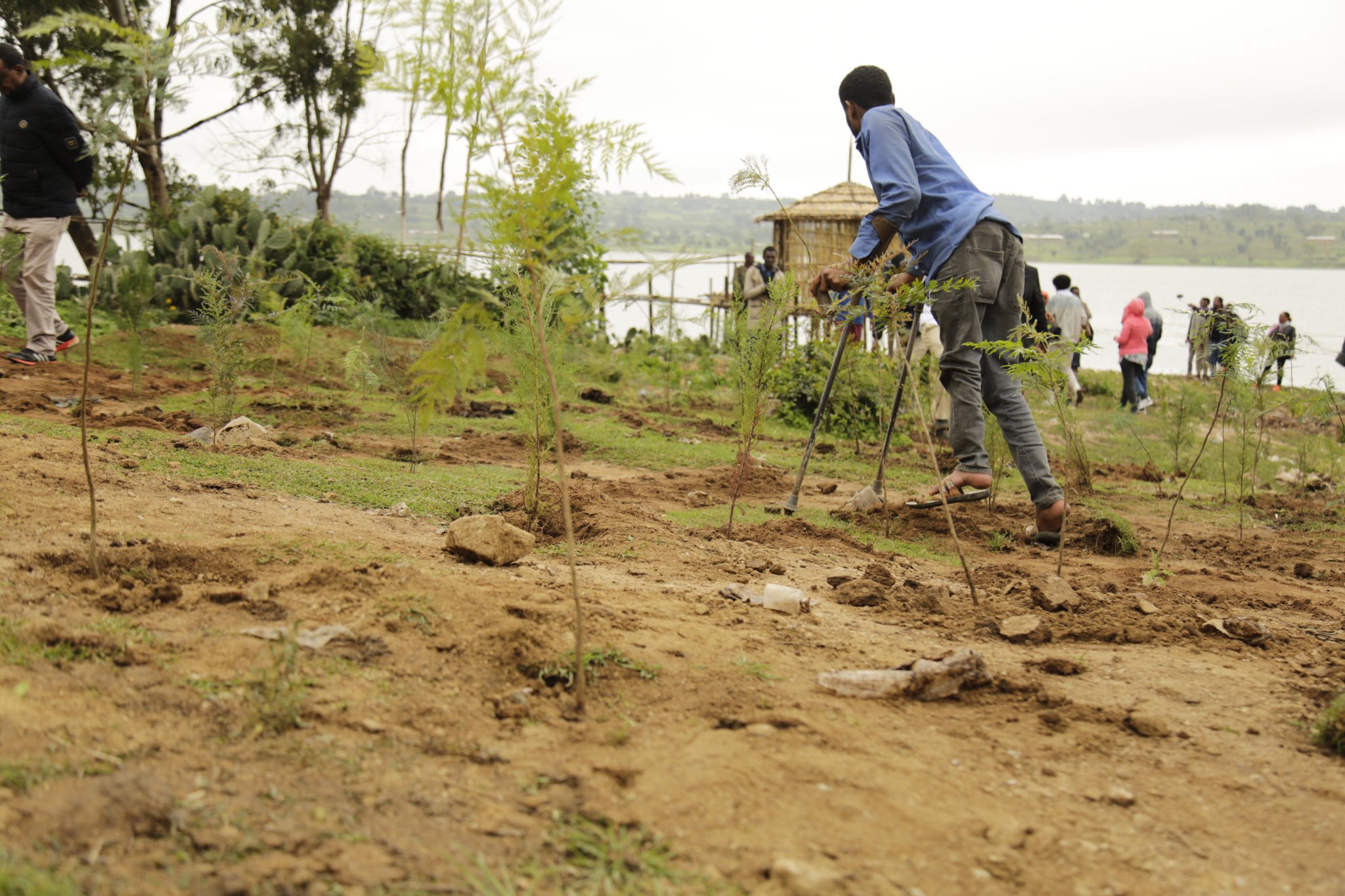 Haramaya lake Haramaya lake