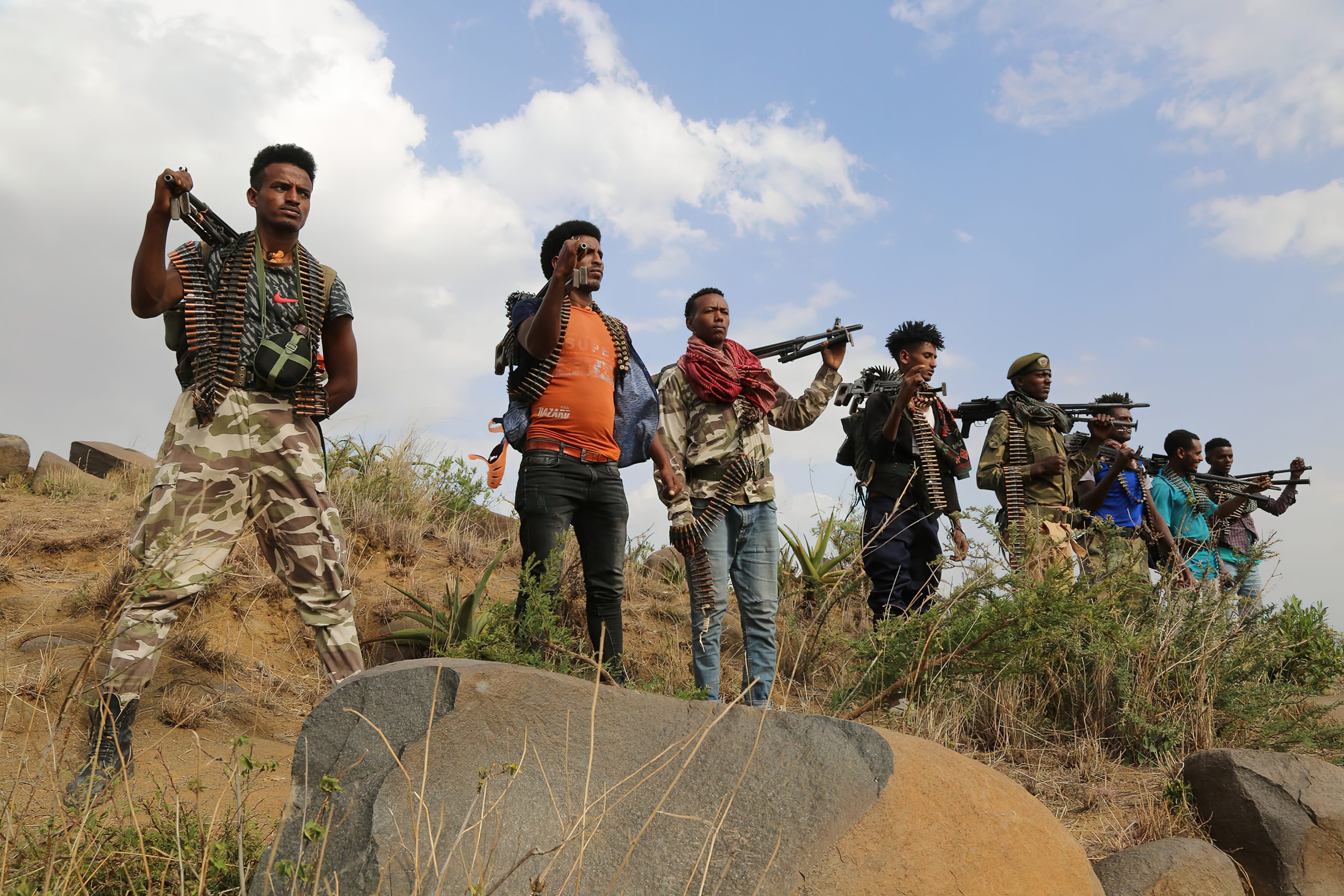 Tigray Defence Forces