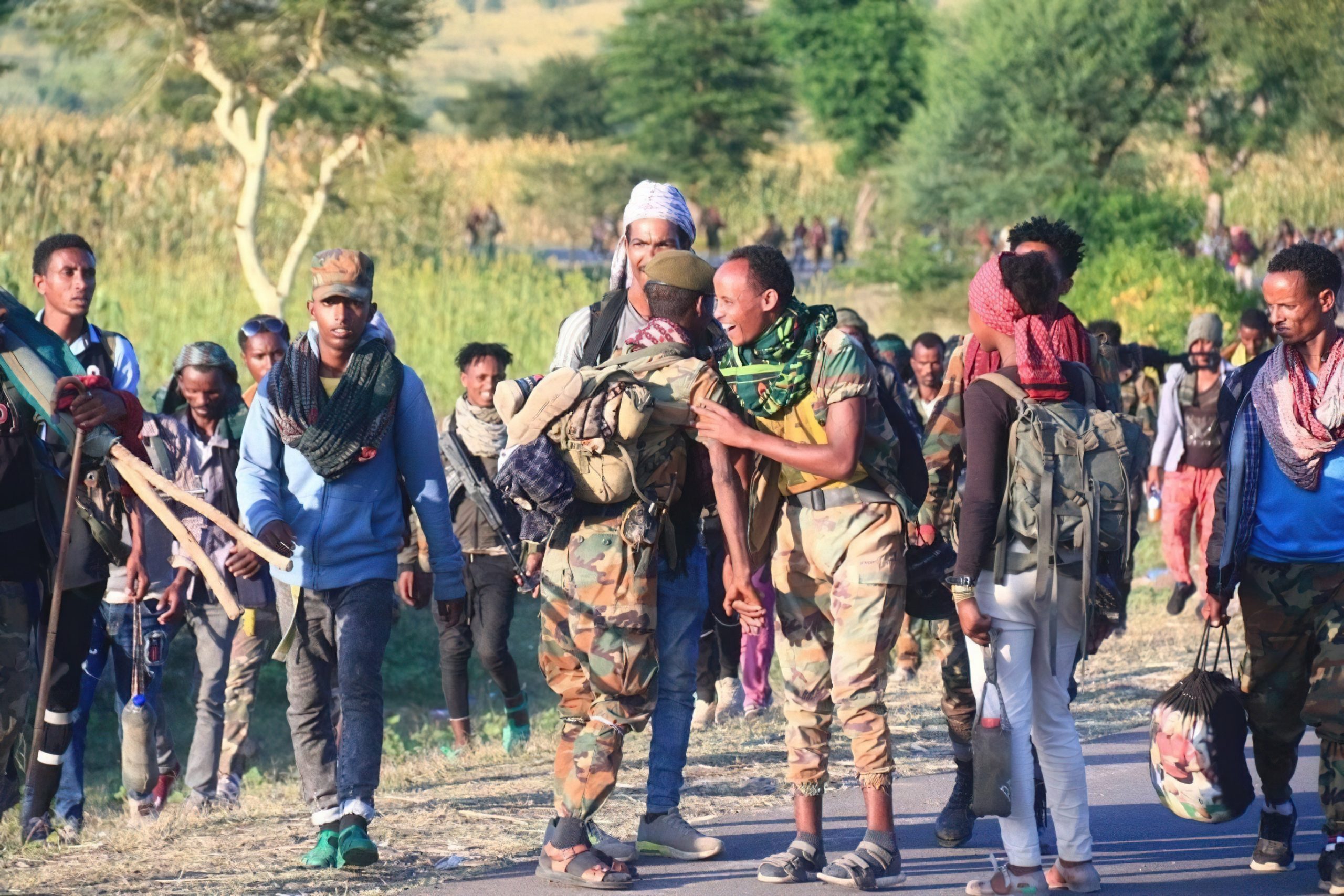 Tigray Defence Forces