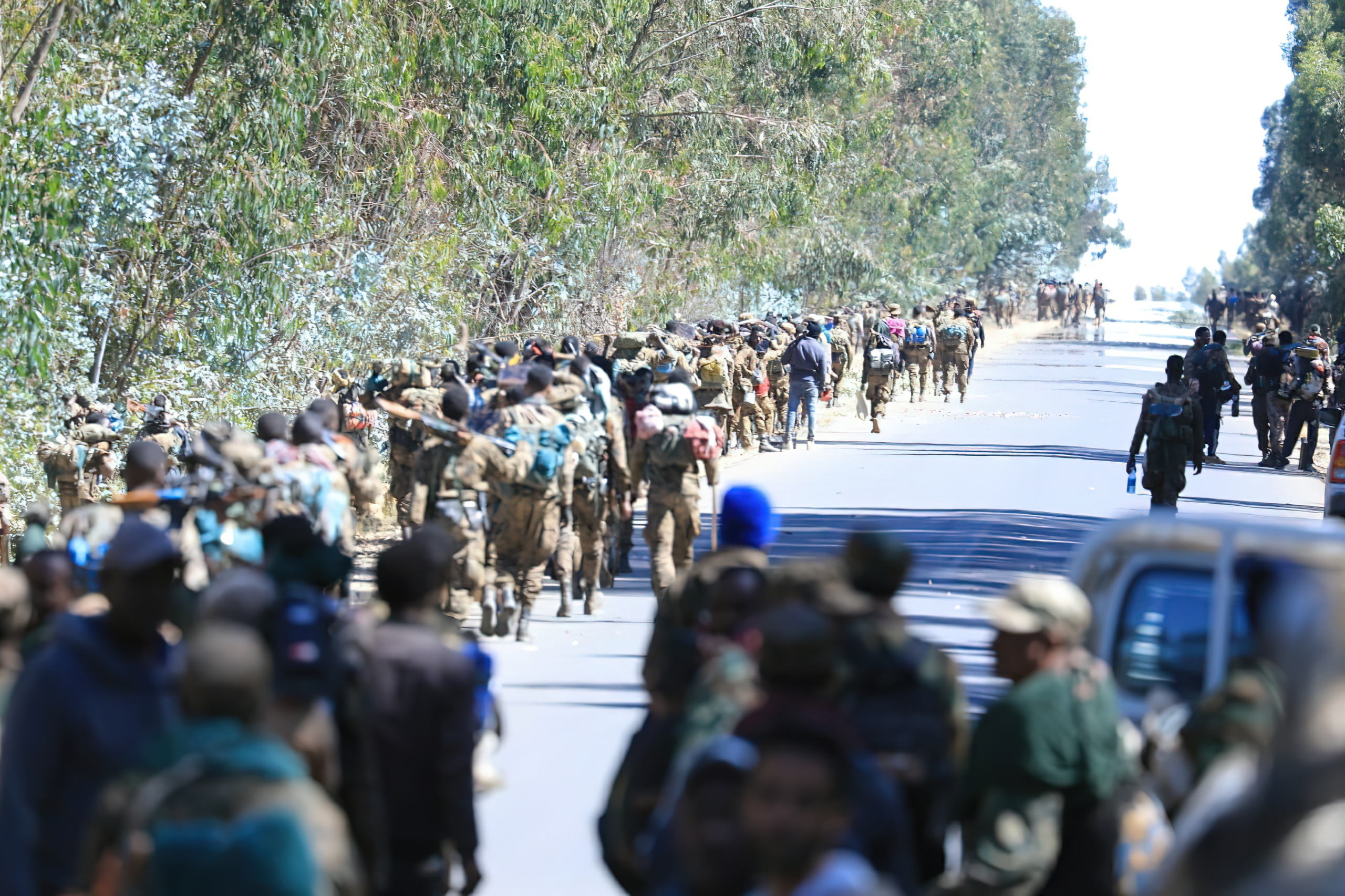 Tigray Defence Forces