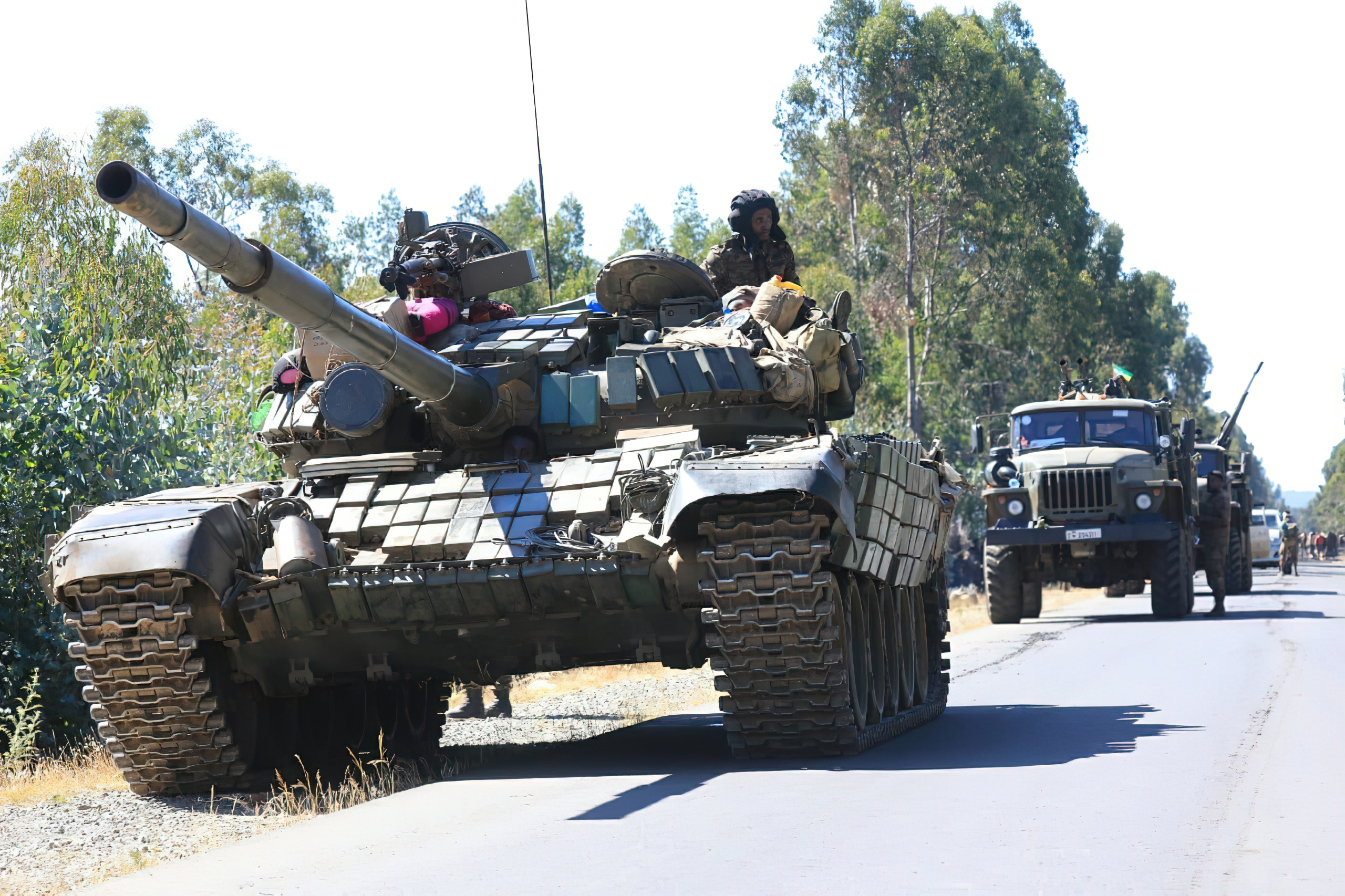 Tigray Defence Forces