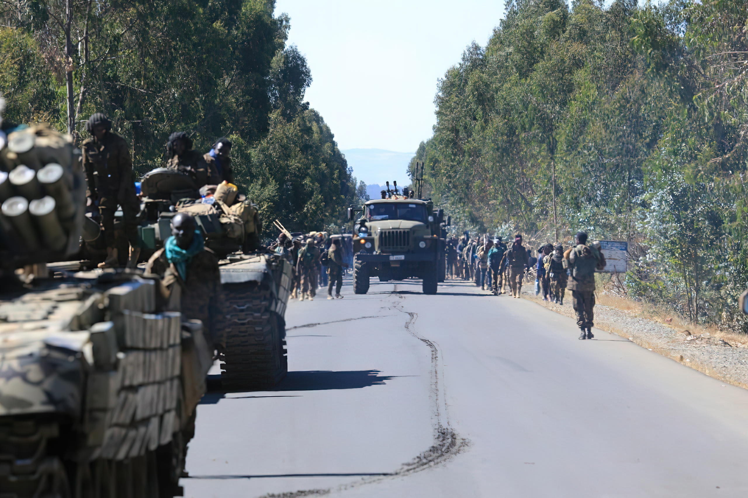 Tigray Defence Forces