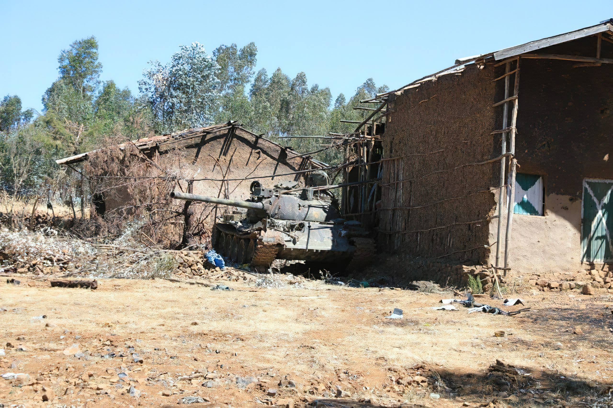 Tigray Defence Forces