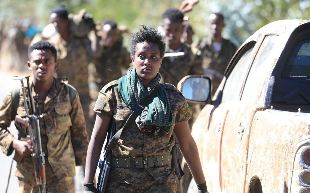 Tigray Defence Forces