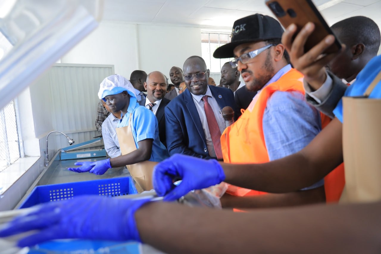 Gambela fishery project