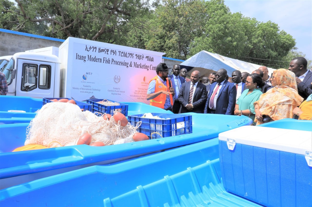 Gambela fishery project