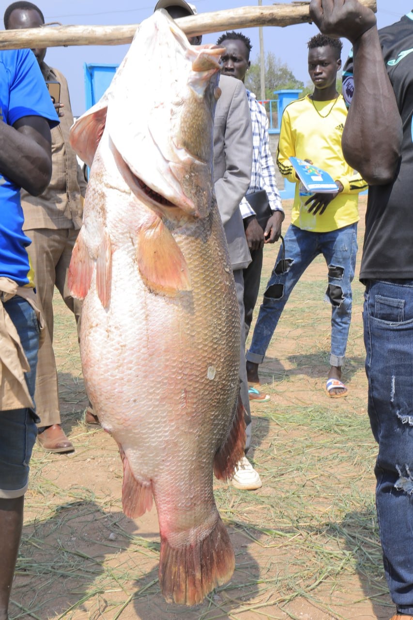 Gambela fishery project