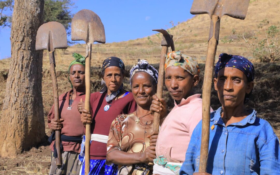 IRRIGATION DEVELOPMENT IN MESQAN DISTRICT