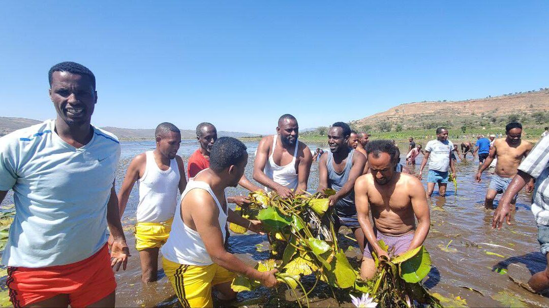 GOVERNMENT OFFICIALS ARE DOING SOME REAL WORK