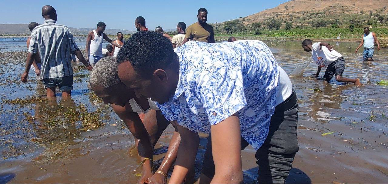 government officials government officials