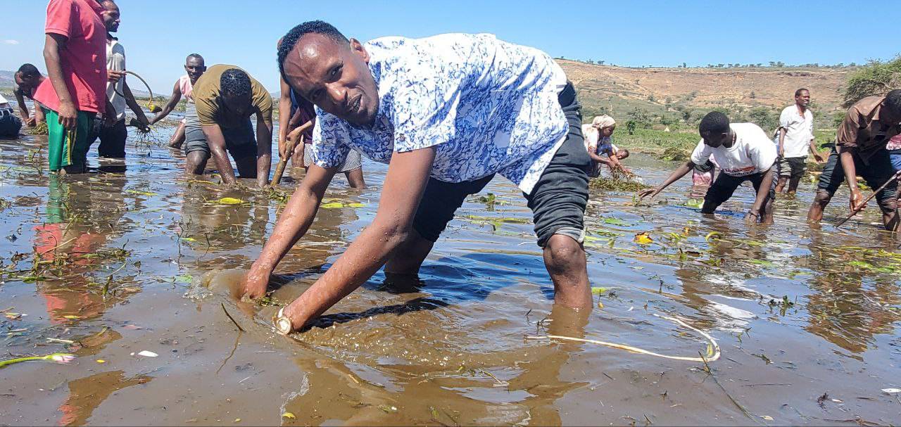 government officials government officials