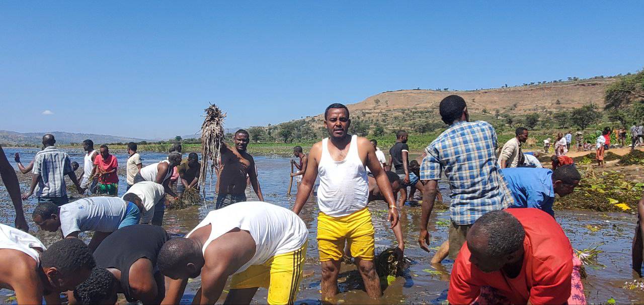 government officials government officials