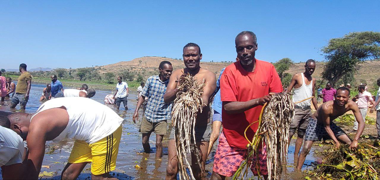 government officials government officials