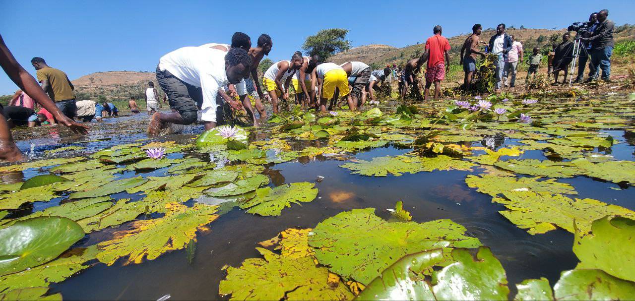 government officials government officials