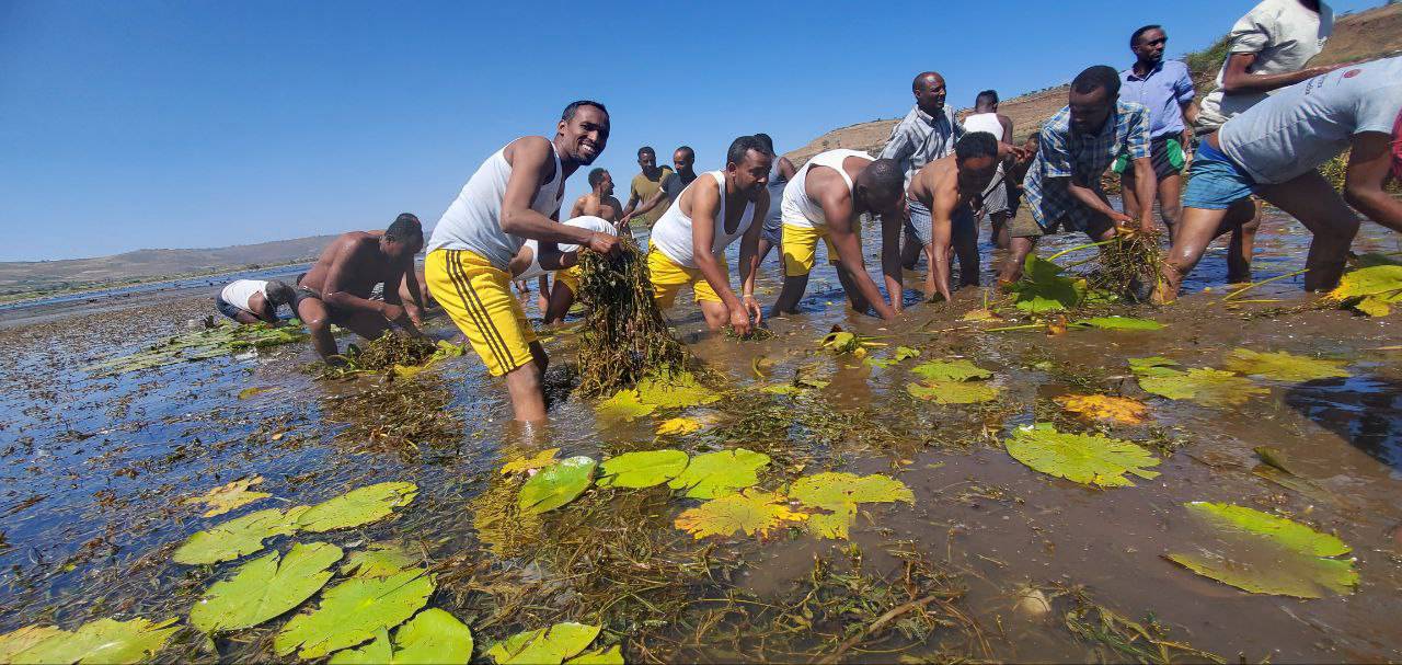 government officials government officials