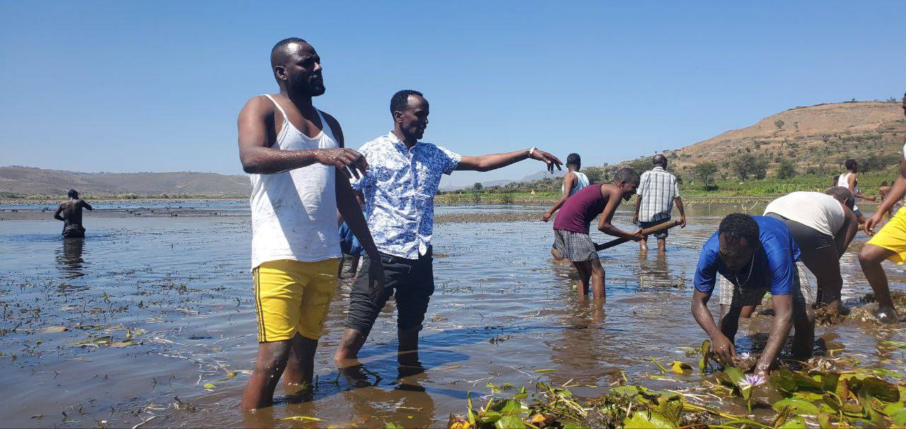 government officials government officials