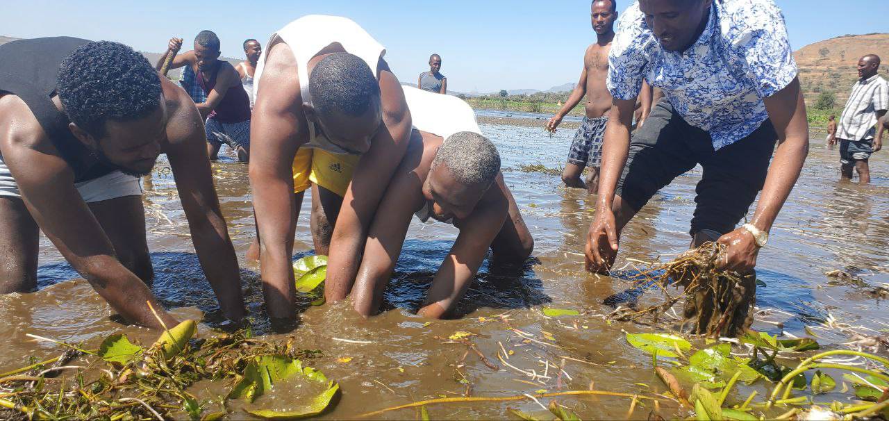 government officials government officials