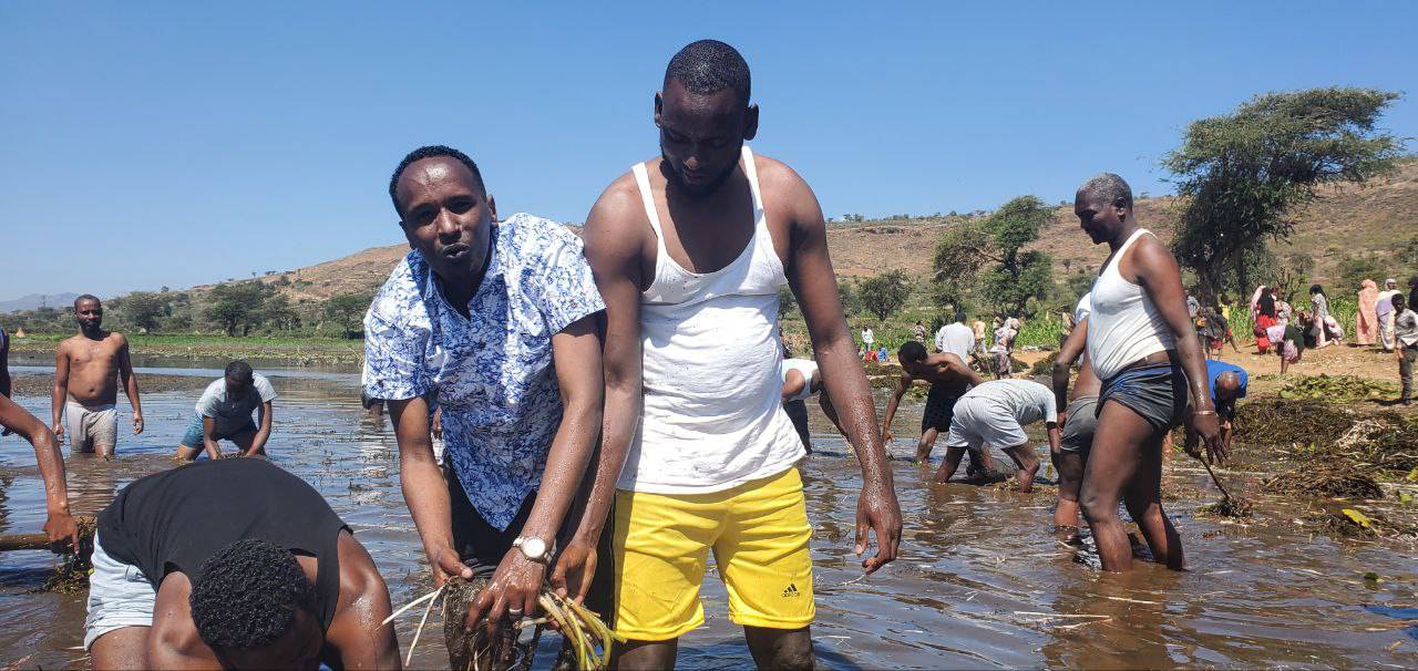 government officials government officials