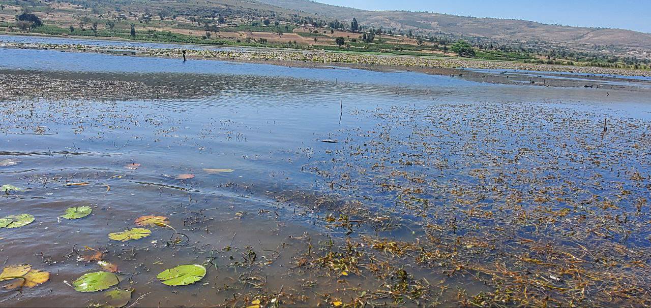 government officials government officials