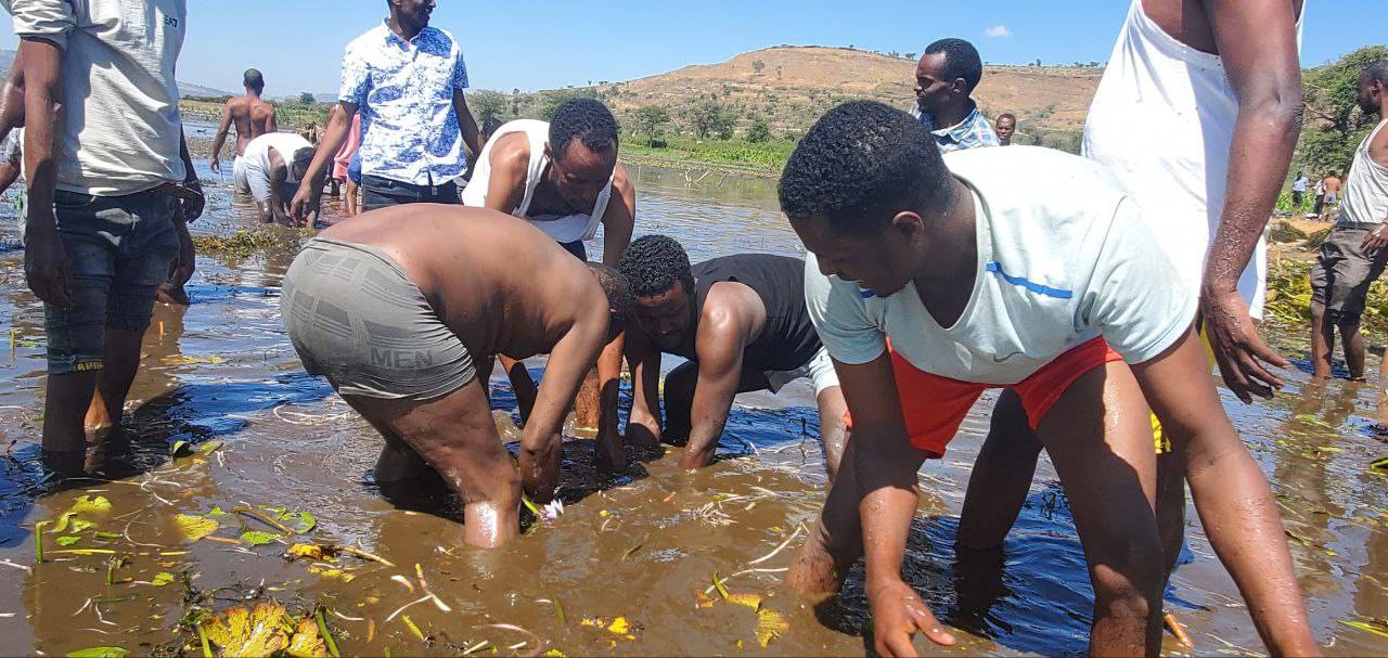 government officials government officials