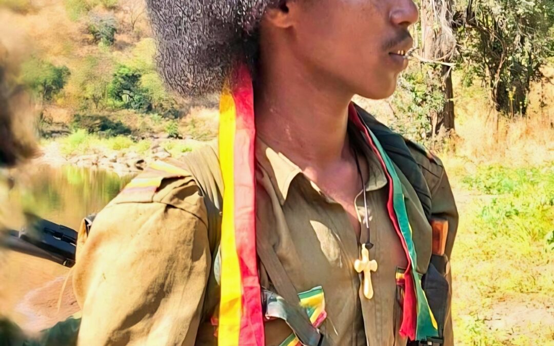 THE AMHARA FANO FREEDOM FIGHTERS