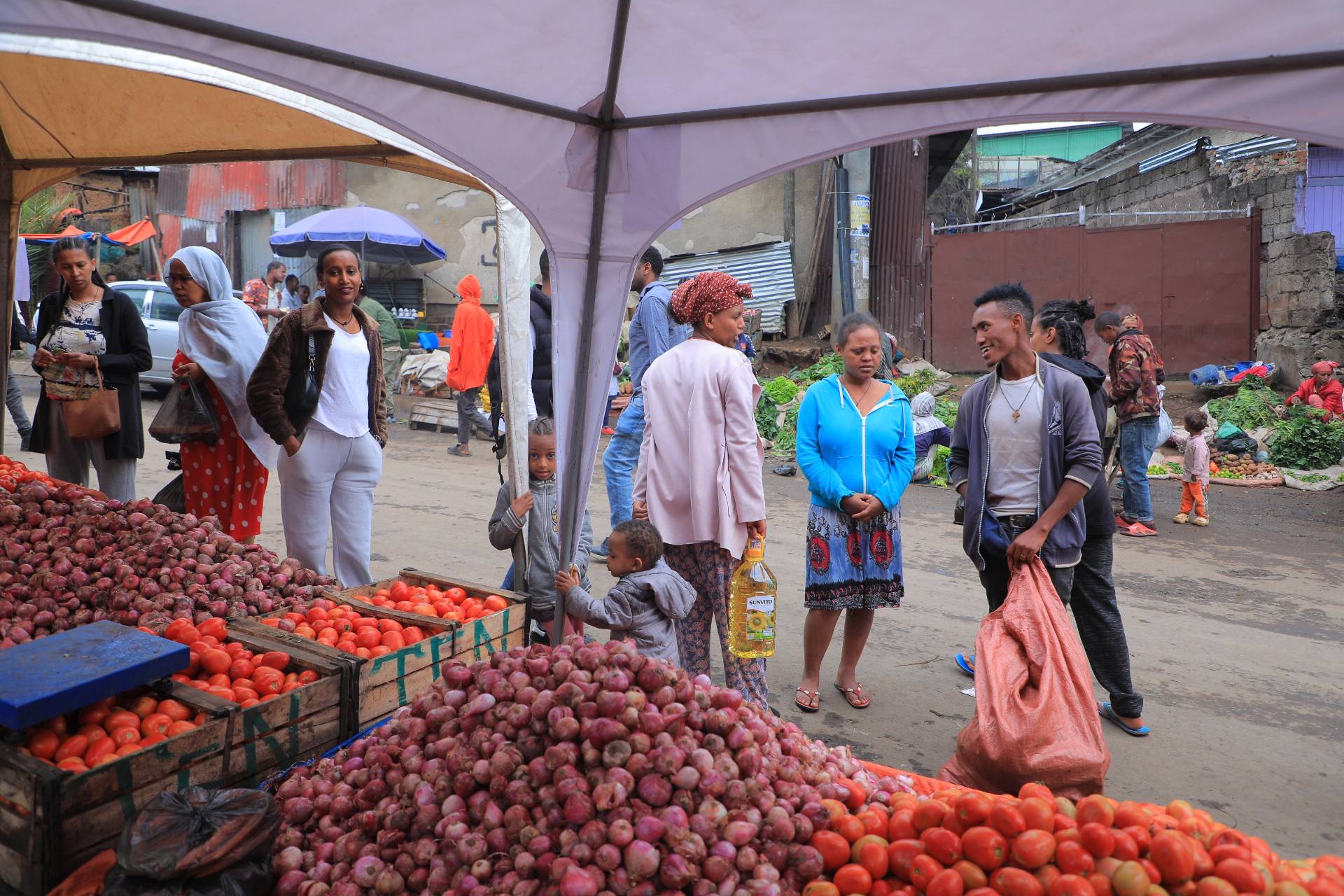 Ethiopian population