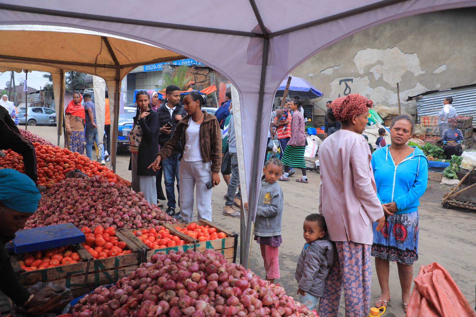 Ethiopian population