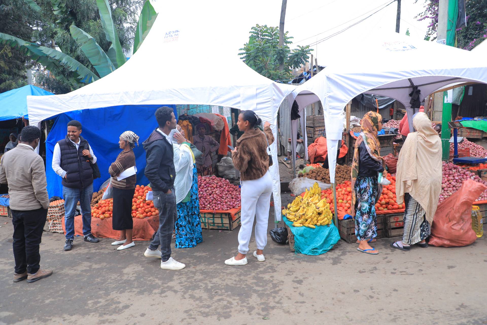 Ethiopian population