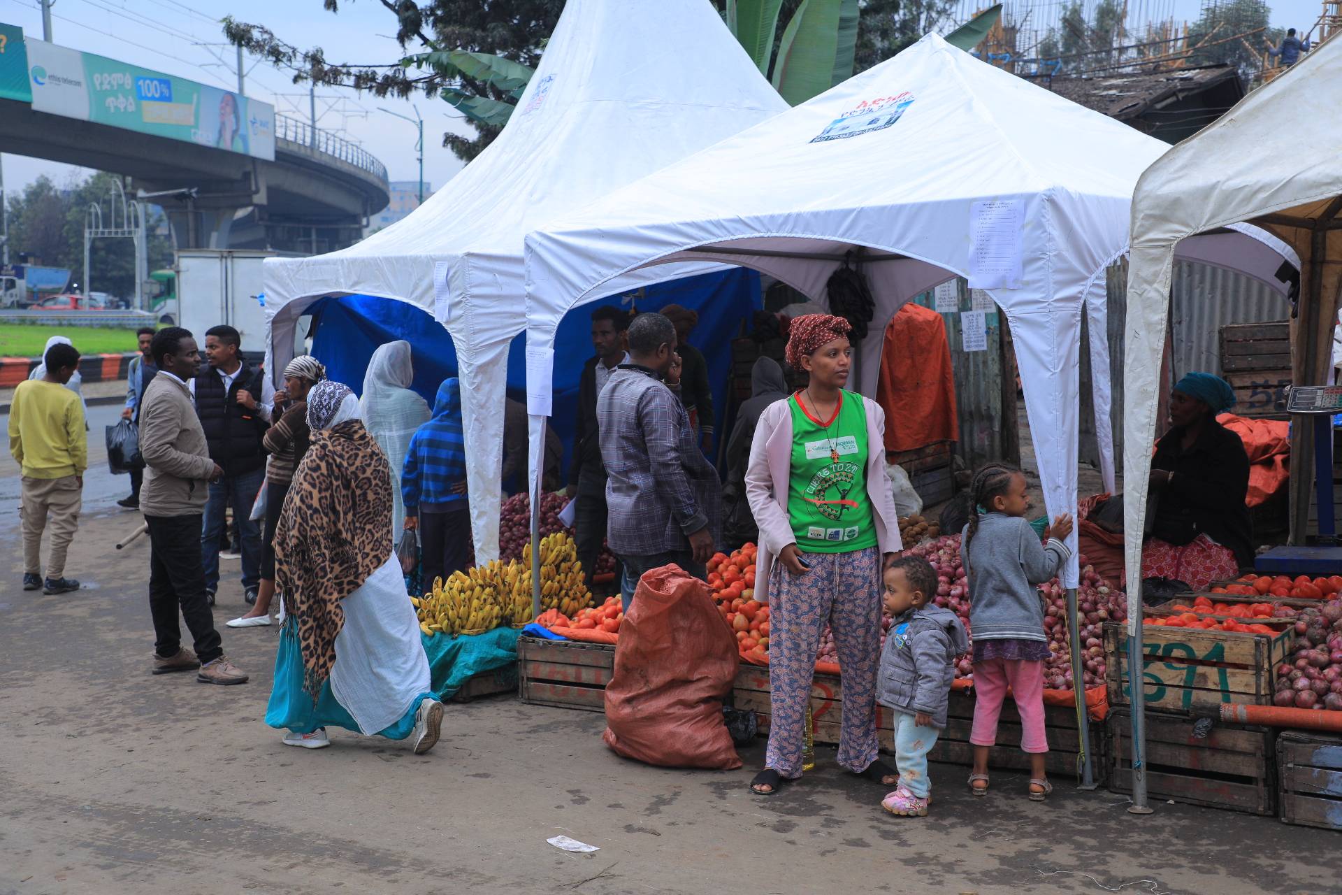 Ethiopian population