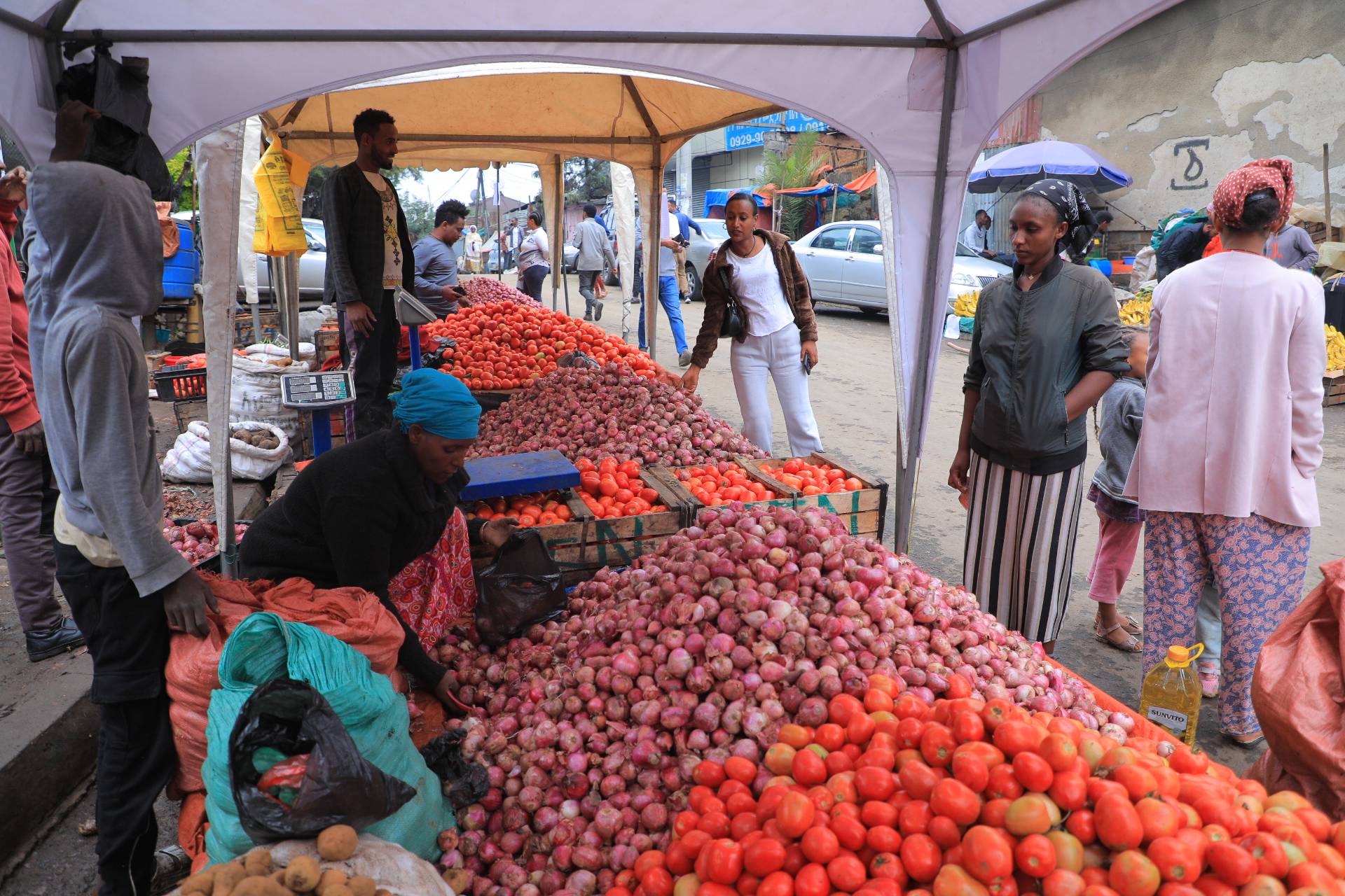 Ethiopian population