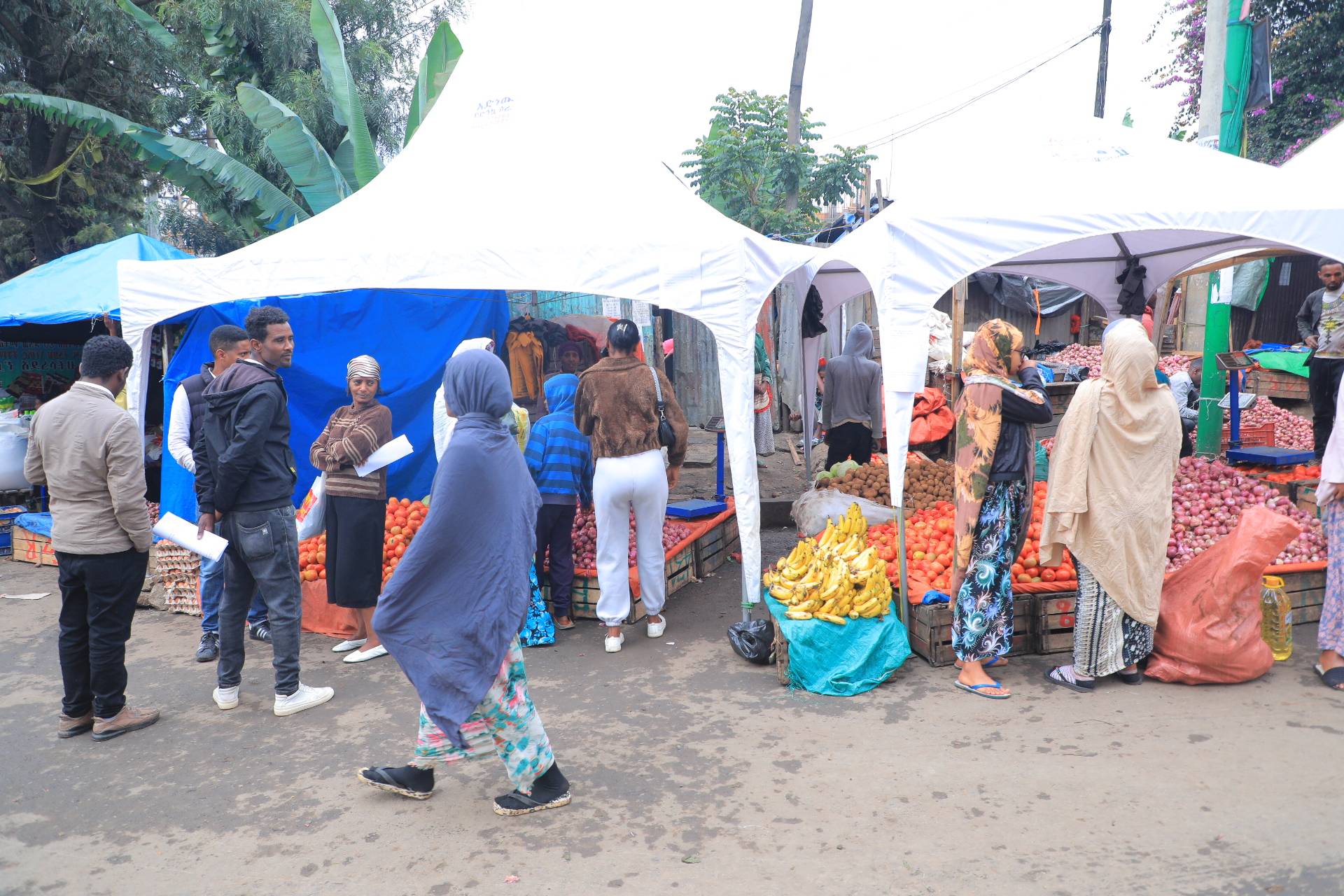 Ethiopian population