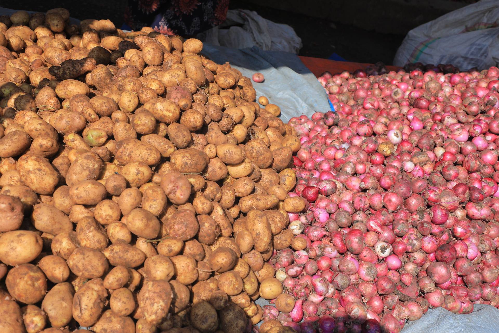 Ethiopian population