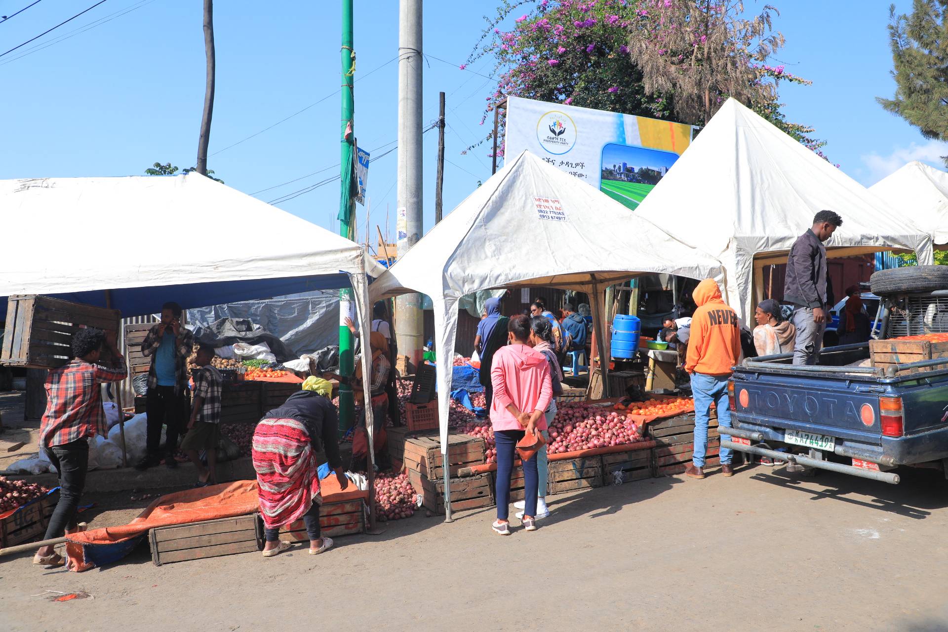 Ethiopian population